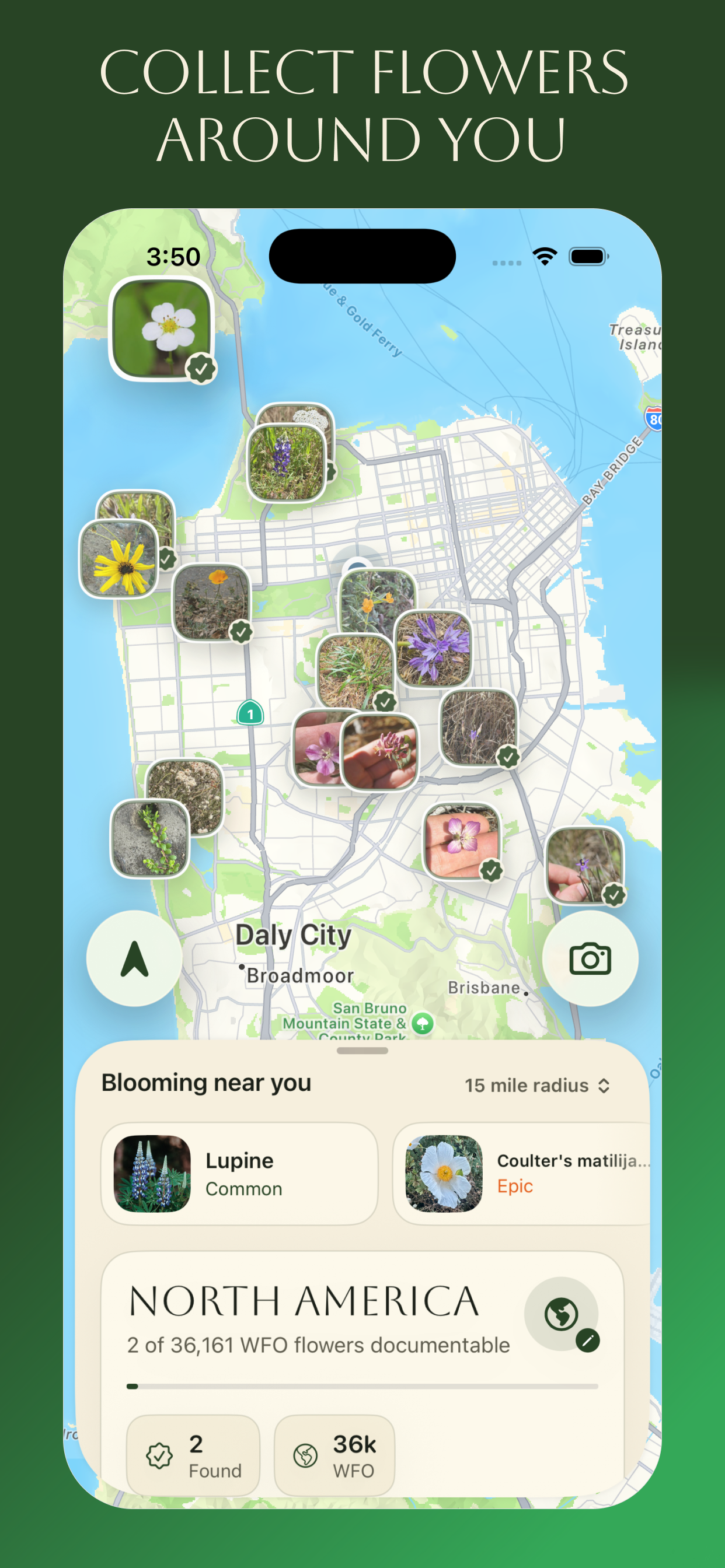 Ok Bloomer screenshot 3