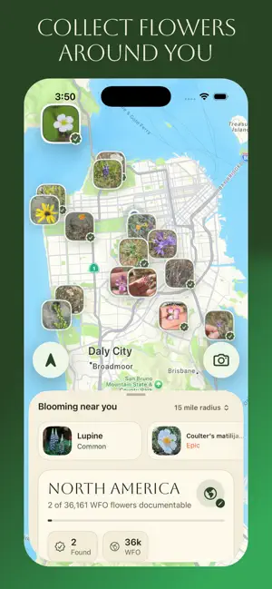 Ok Bloomer screenshot 3