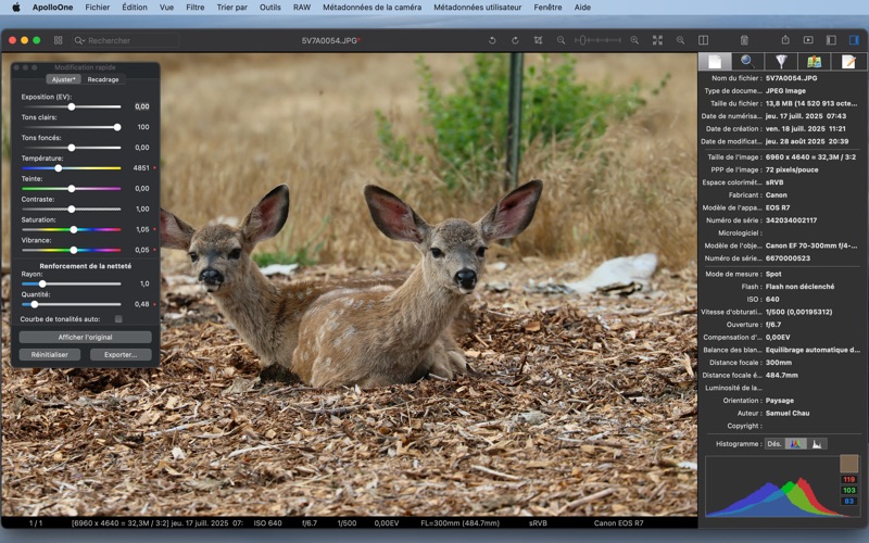 Screenshot #2 pour ApolloOne Visionneuse d'image