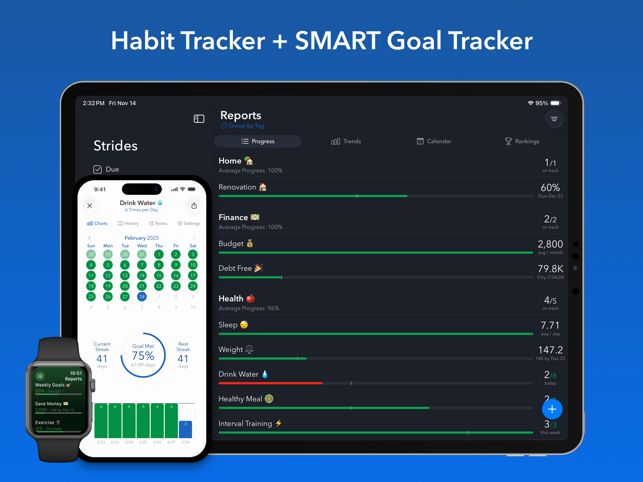 Strides: Habit Tracker + Goals Screenshot