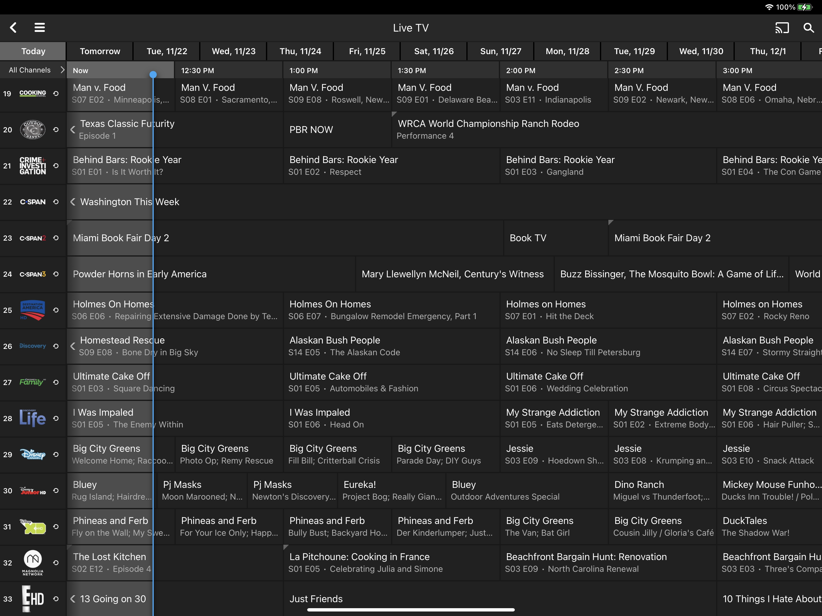 Pineland TV screenshot 5