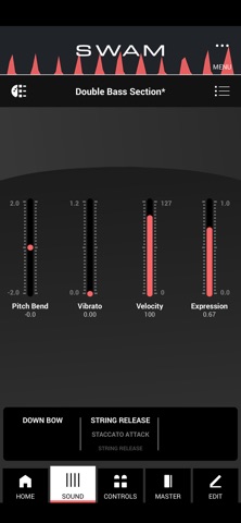 SWAM Double Bass Section Screenshot 2 of 7