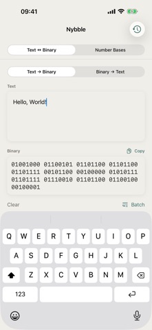 Binafy iPhone screenshot