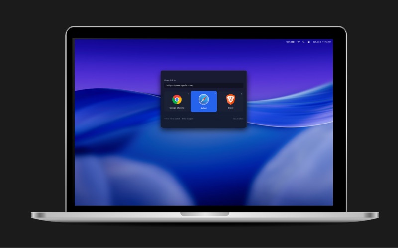 BrowserPort screenshot