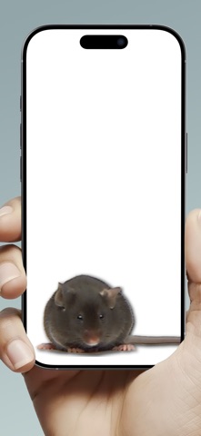 Mouse on Screen Scary Joke iPhone screenshot