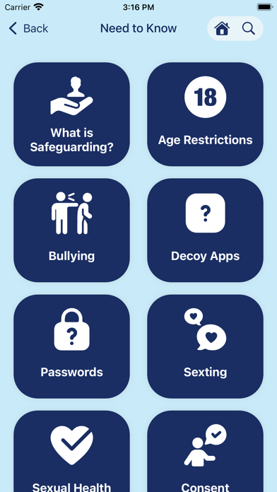 Safeguarding Board NI Screenshot