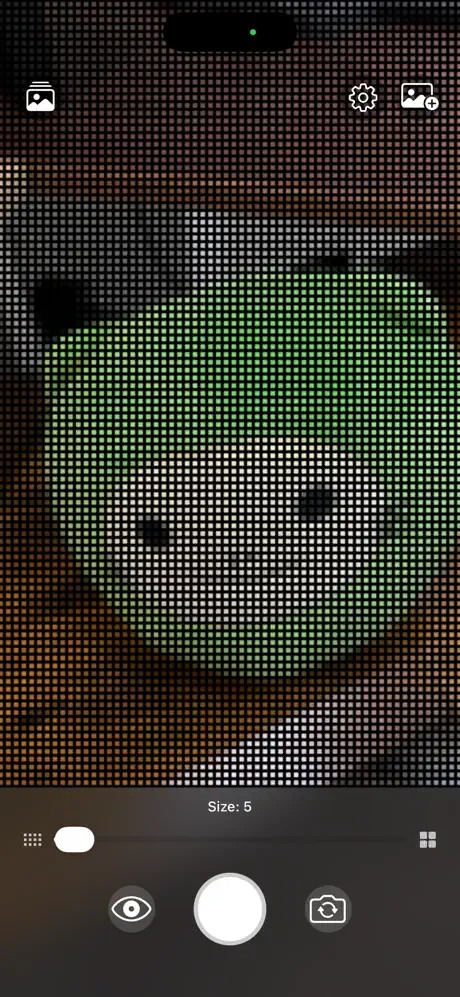 pixelizer 像素相机应用截图