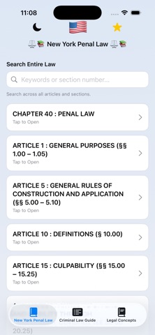 New York Penal Law NY iPhone screenshot