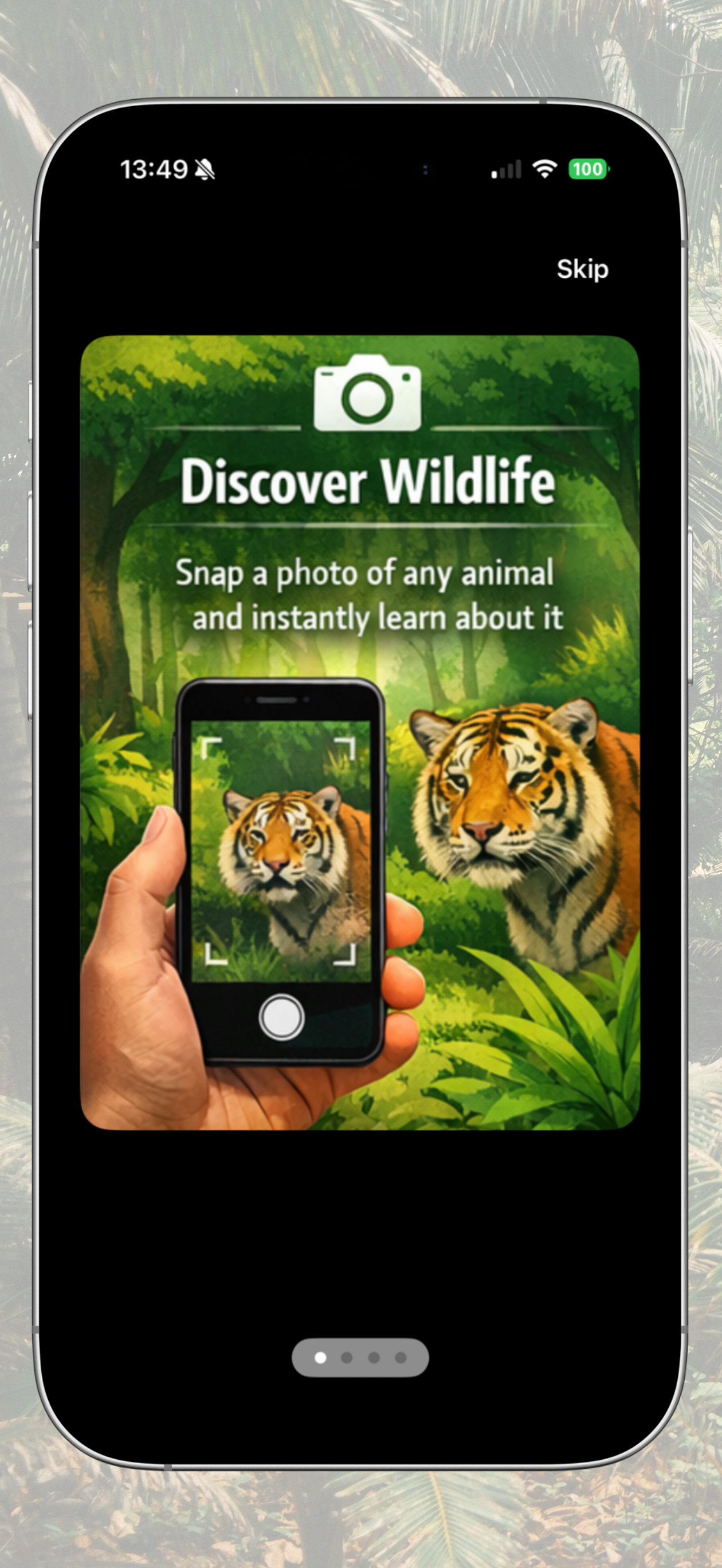 Zoo & Wild Animal Identifier