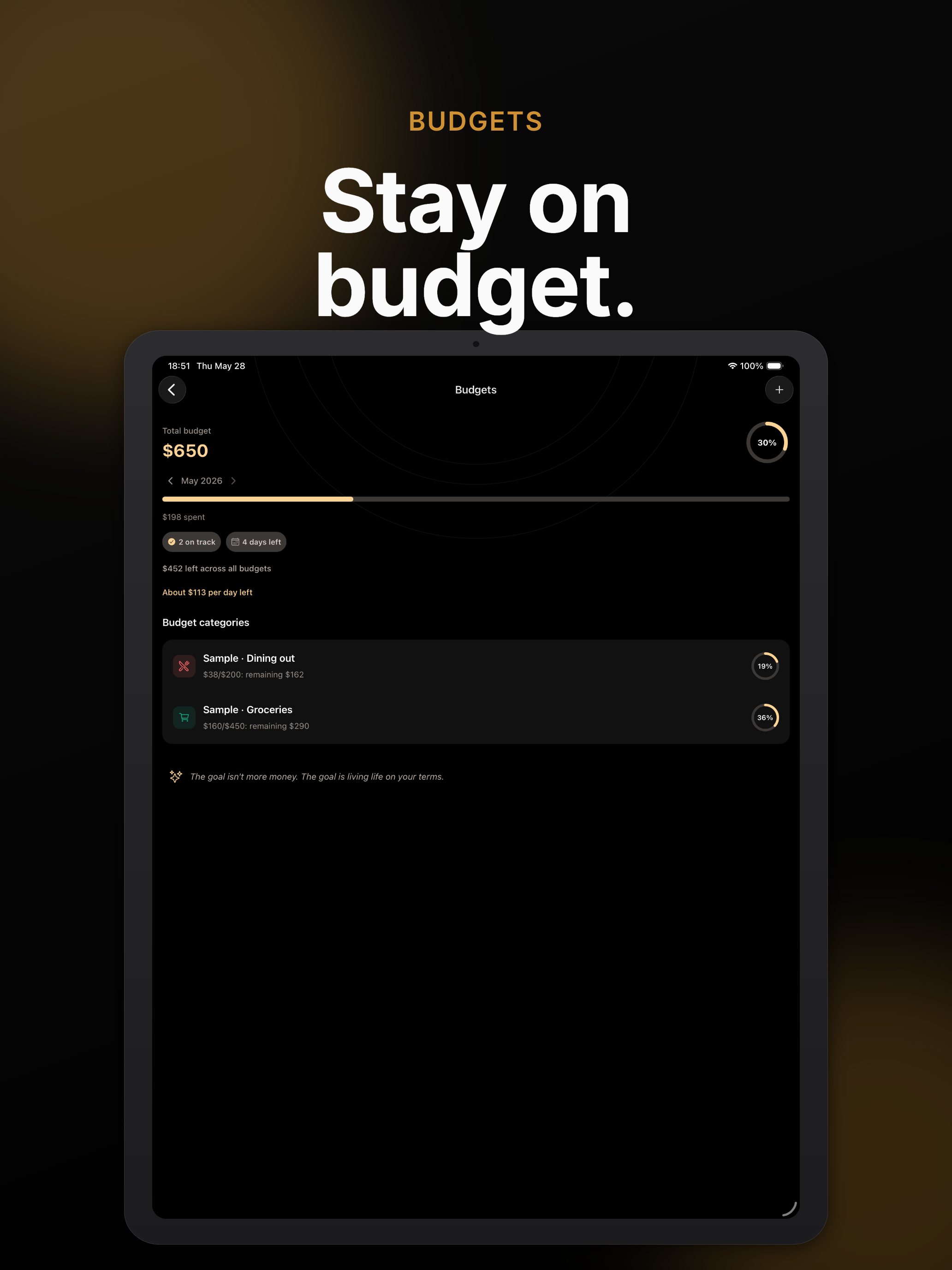 Iron Wealth: Net Worth Tracker screenshot 14