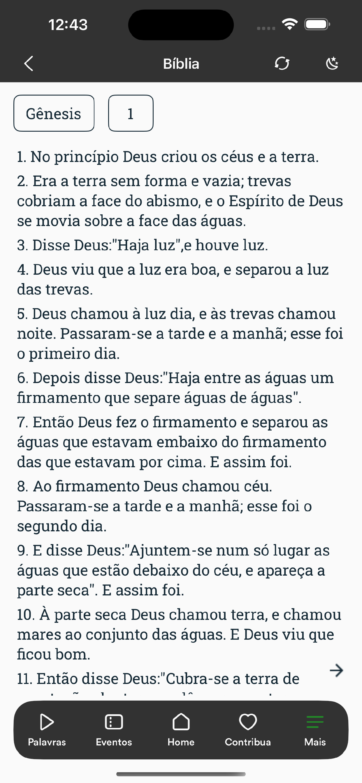 PIBON screenshot 4