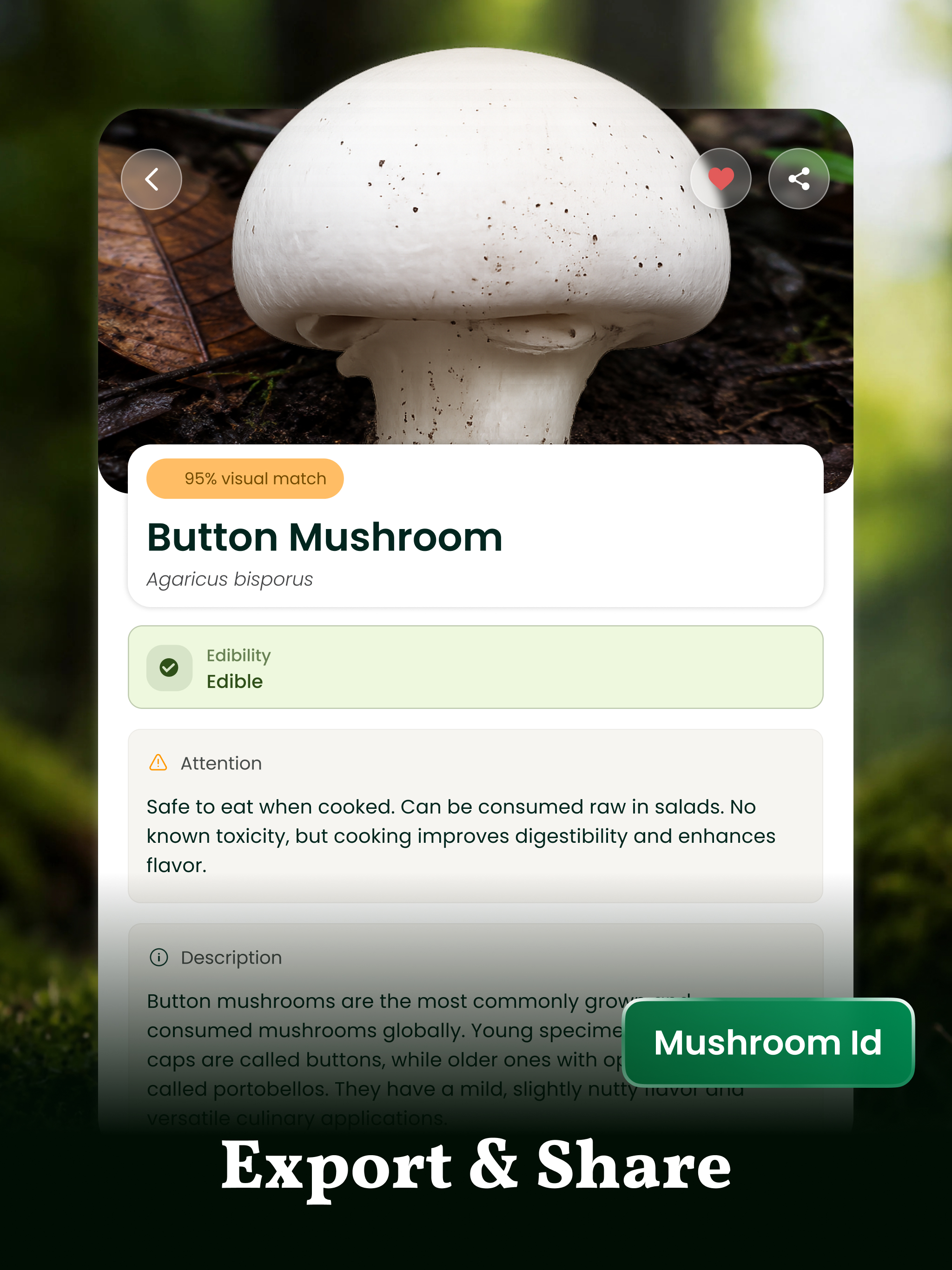 Identify Mushroom By Picture screenshot 16