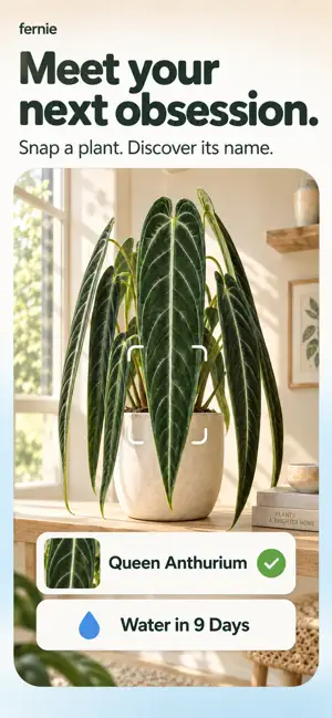 Fernie: Plant ID, Care Tracker screenshot 1