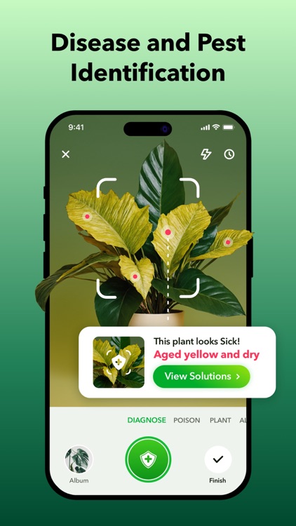 PlantJoy - Plant Identifier