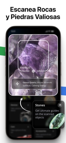 Lens AI: Identify Anything iPhone screenshot 6
