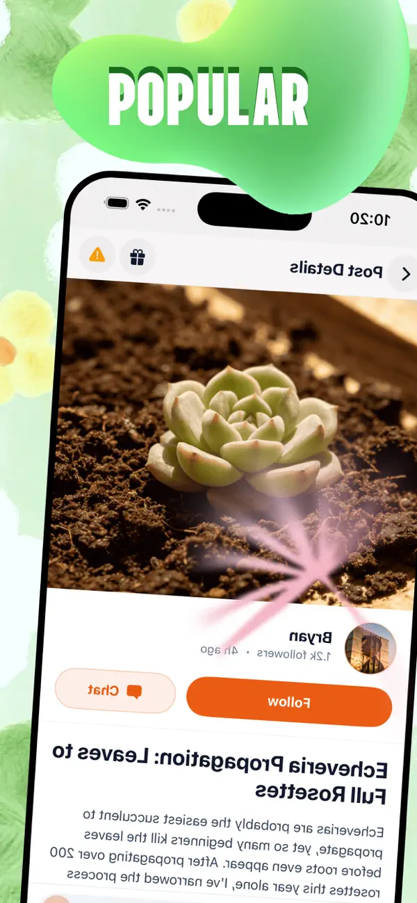 #3. Kebao (iOS) By: JUDE BAXTER