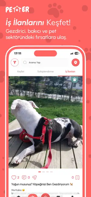 Petter screenshot 4