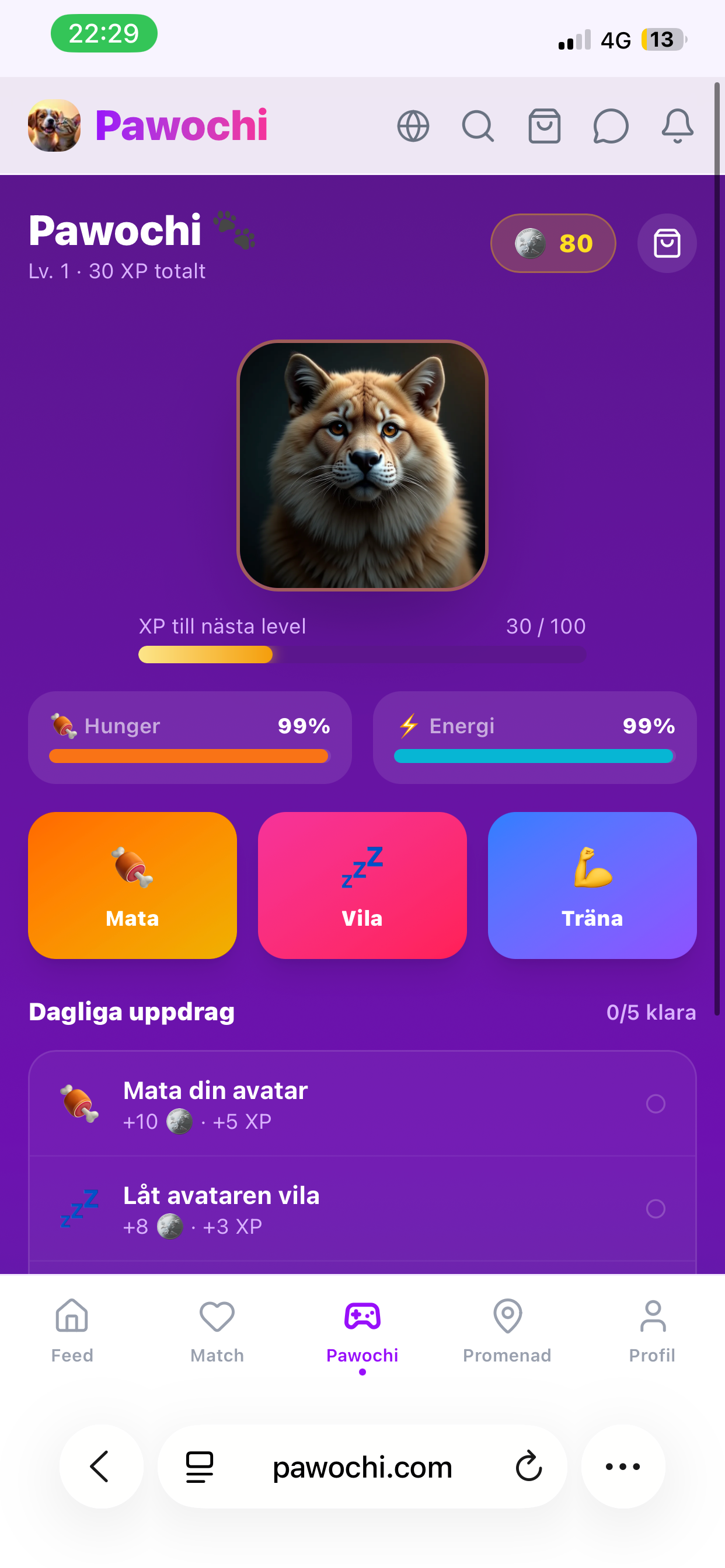 Pawochi screenshot 2