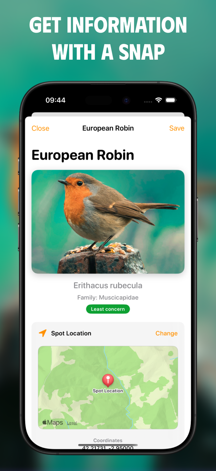 Bird Identifier BirdScout