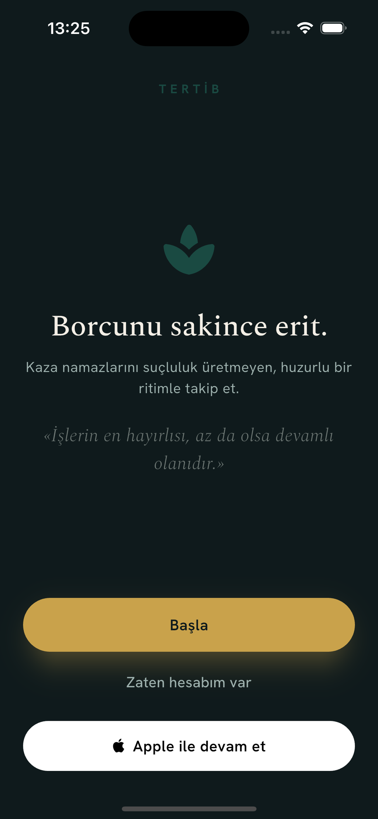 Tertib screenshot 8