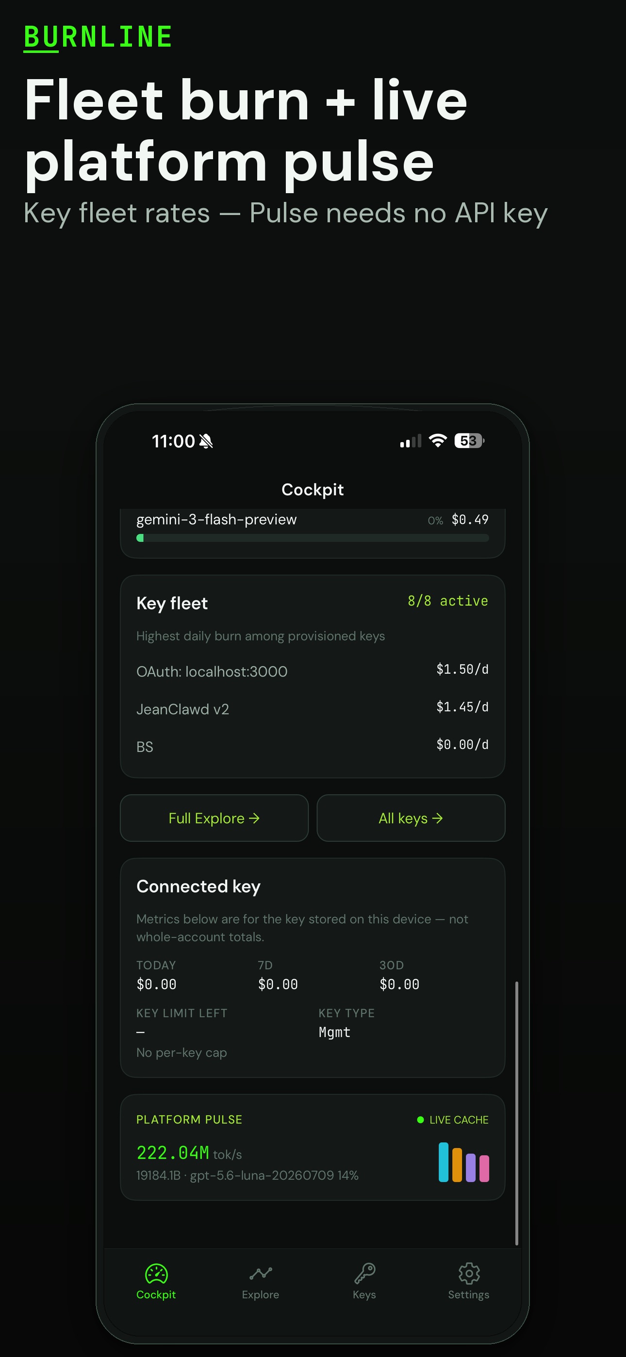 Screenshot 4 of Burnline Cockpit