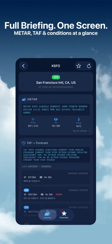 Aviation Weather: METAR & TAF screenshot 2 of 5