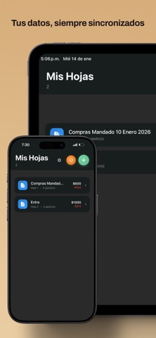 MG: Mis gastos, Cuentas claras screenshot