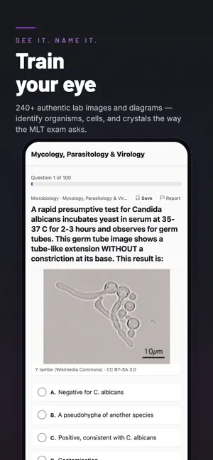 ASCP MLT Exam Prep: Med Lab screenshot 2
