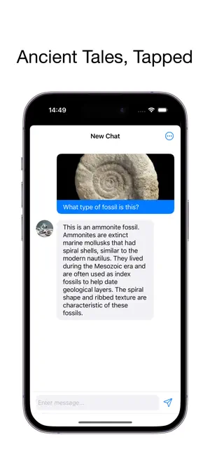 Fossil Identifier - FossilAI screenshot 2