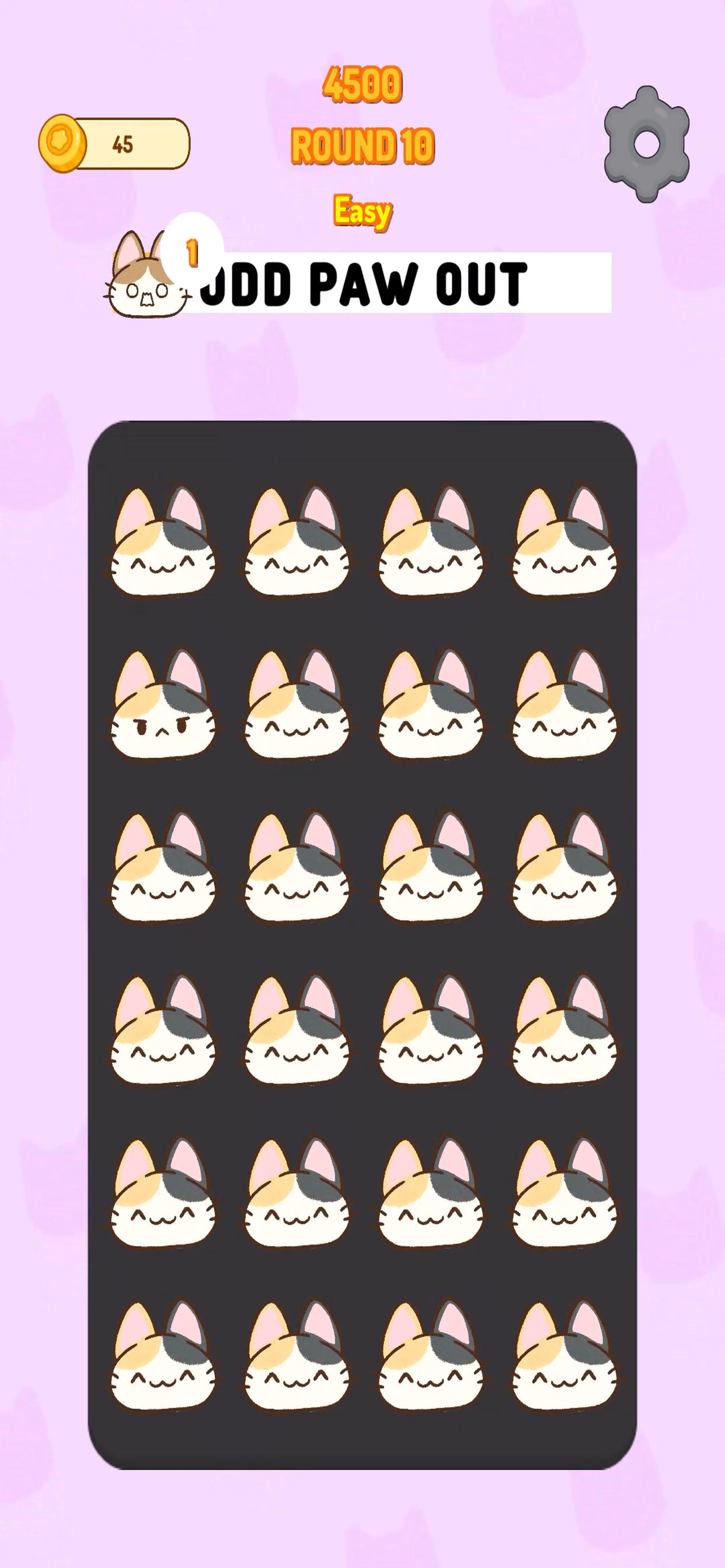 Odd Paw Out
