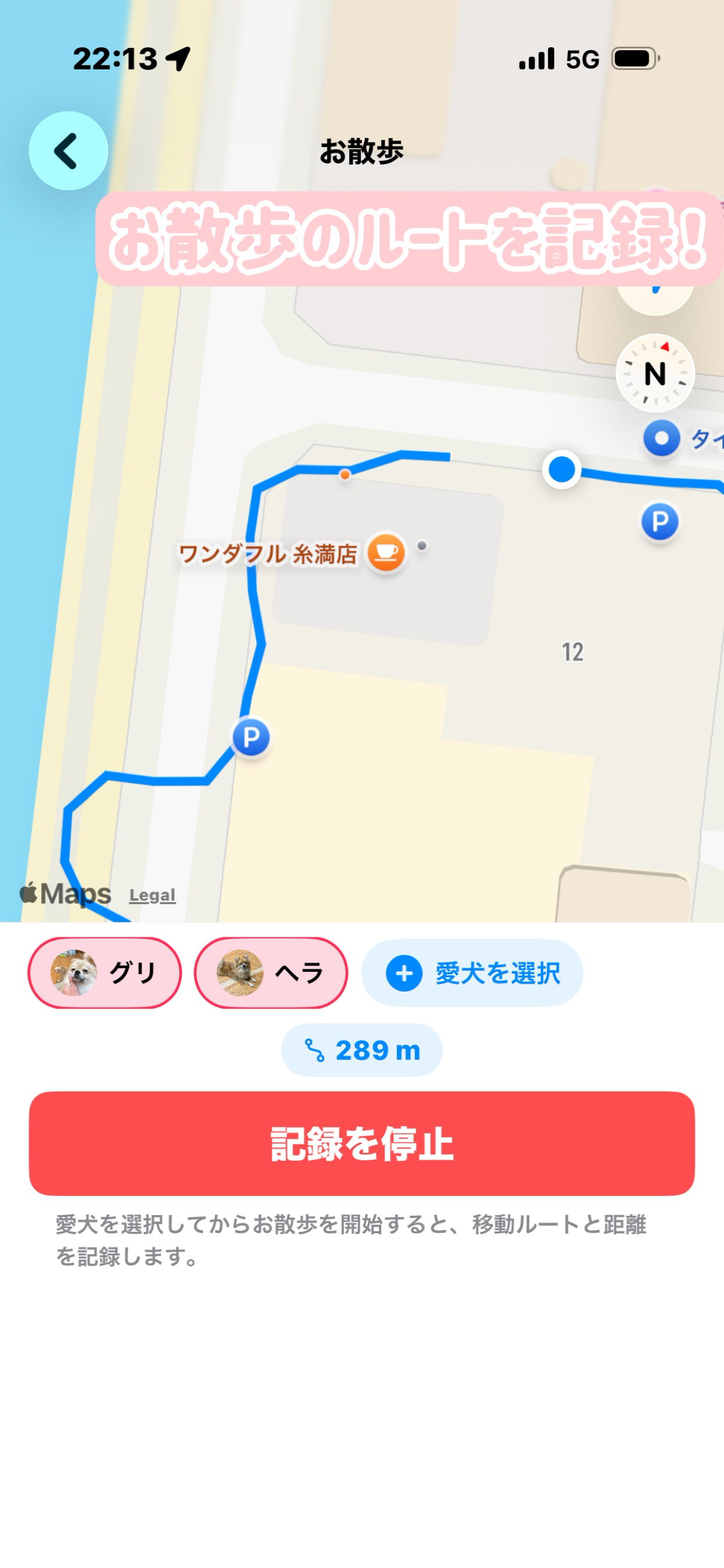 ワンダフル・ライフ