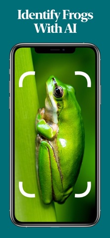 Frog Identifier screenshot