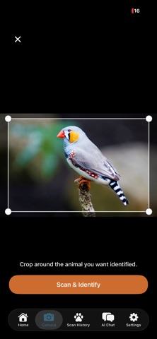 Animal Identifier + Scanner Screenshot 7 of 9