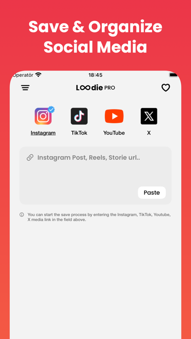 Loadie: Reel Story Video Saver Screenshot