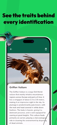 Bird Identifier - Ornithology iPhone screenshot