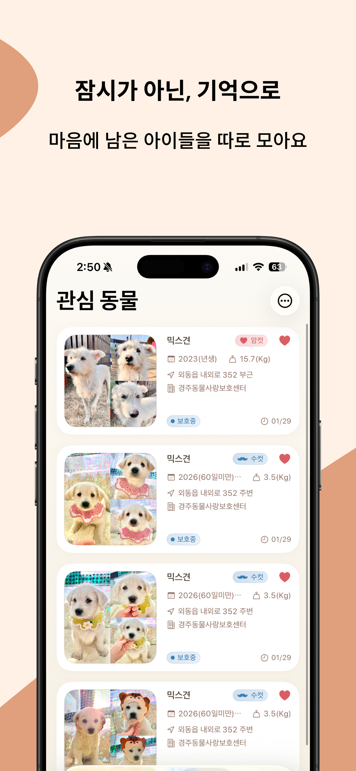 보호소친구들 - 전국 보호소 유기동물 찾기 screenshot 5