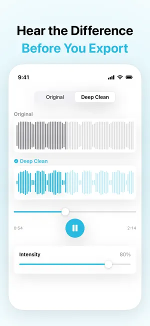 Voice Isolation: Denoise screenshot 3