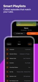 AI Podcast Note Taker - Skimr screenshot