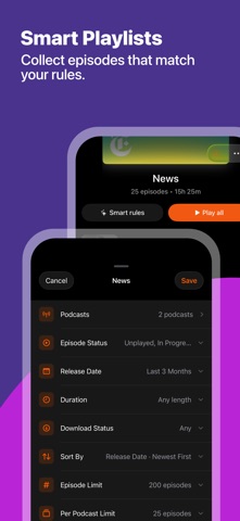 AI Podcast Note Taker - Skimr screenshot