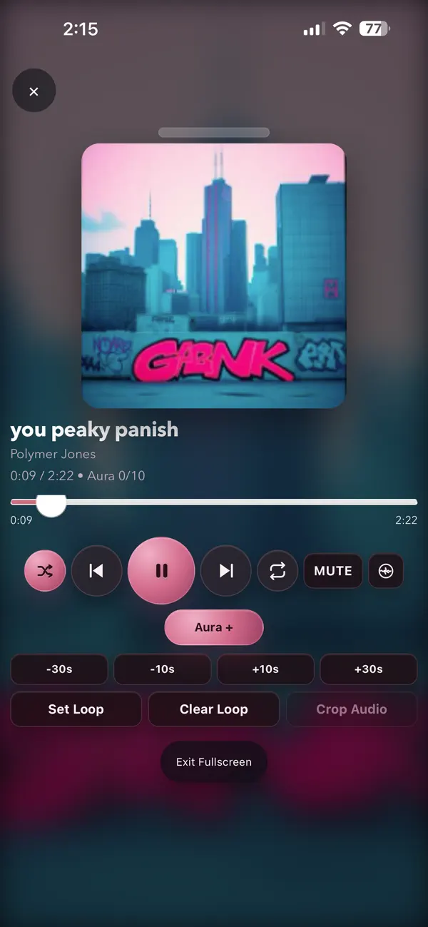 Screenshot #3 pour PolyPlay Audio
