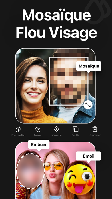 Screenshot #2 pour Floutage Vidéo - Mosaique Flou