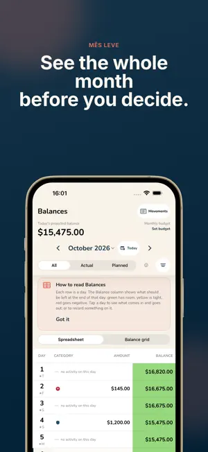 Mês Leve: Budget & Cash Flow screenshot 1