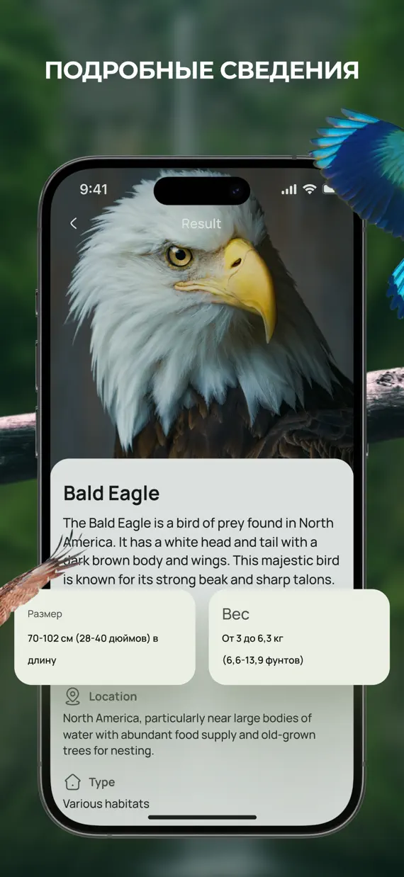 Bird Identifier & Guide screenshot 2