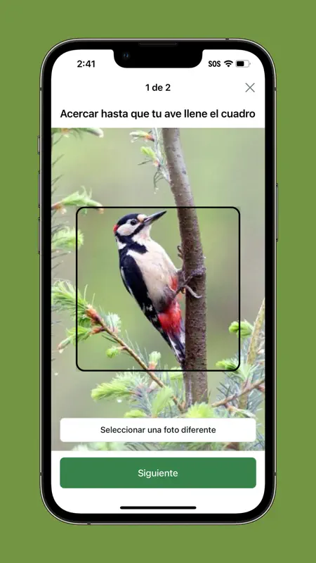 Merlin Bird ID por Cornell Lab screenshot 8 of 8