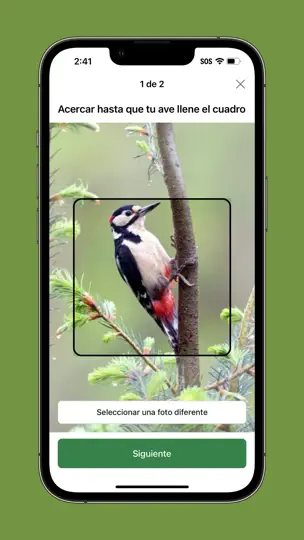 Captura de pantalla de Merlin Bird ID Por Cornell Lab en iPhone 8