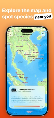 Bugsy – Insect Collection Quiz screenshot