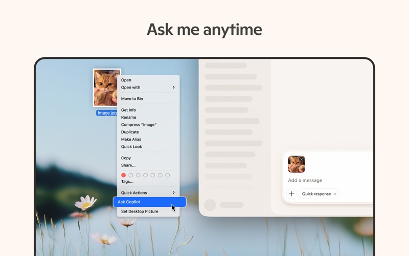 Microsoft Copilot screenshot 7