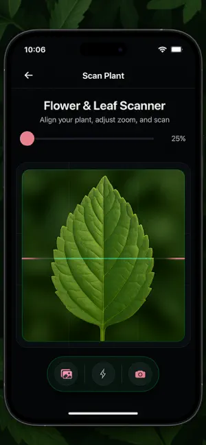 Leaf,Flower Identification screenshot 3
