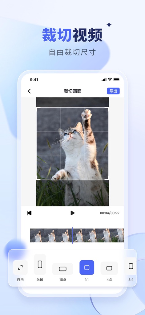 水印宝-视频水印助手软件 - This tool offers multiple aspect ratio presets, allowing users to precisely "裁剪画面" (crop the screen) and select desired dimensions like "1:1" or "9:16".