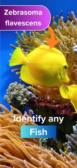 Fish Identifier: Ocenna screenshot 1